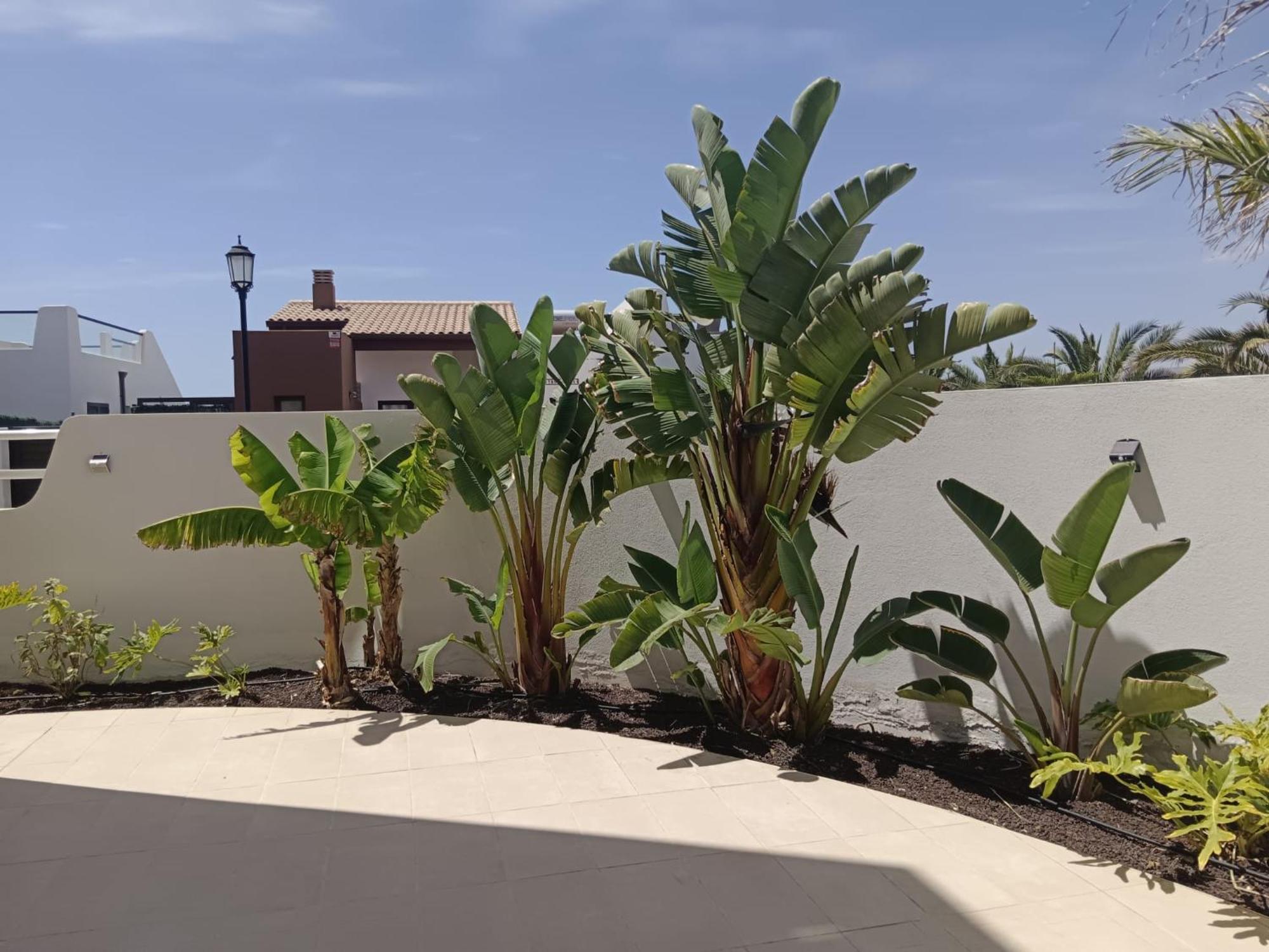 Homeforguest Flat With Large Terrace In Modern Residential Complex With Swimming Pool Caleta De Fuste Kültér fotó